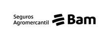 Aseguradora BAM